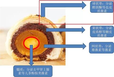 说明: C:\Users\gywy\AppData\Roaming\Tencent\Users\447919325\TIM\WinTemp\RichOle\]5N1UK}[A`)IZK}]~30%FLI.png