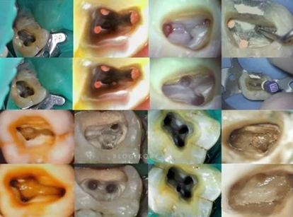 说明: C:\Users\gywy\AppData\Local\Temp\1553134749.jpg